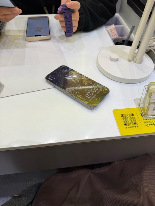 华彩网大红门，璀璨盛典的门户