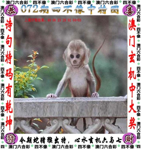 4949精准澳门彩，最准确的预测与投注指南-第2张图片
