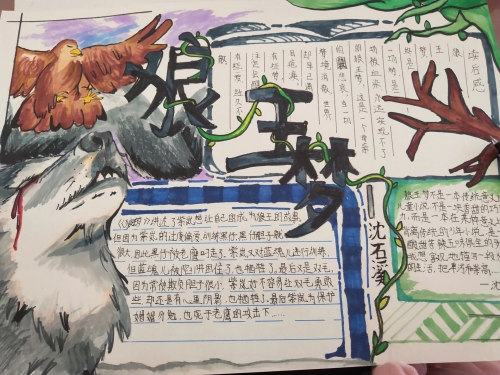 狼王梦在线阅读