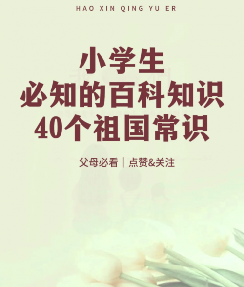 宝典论坛宝典论坛，探索知识宝库的奥秘