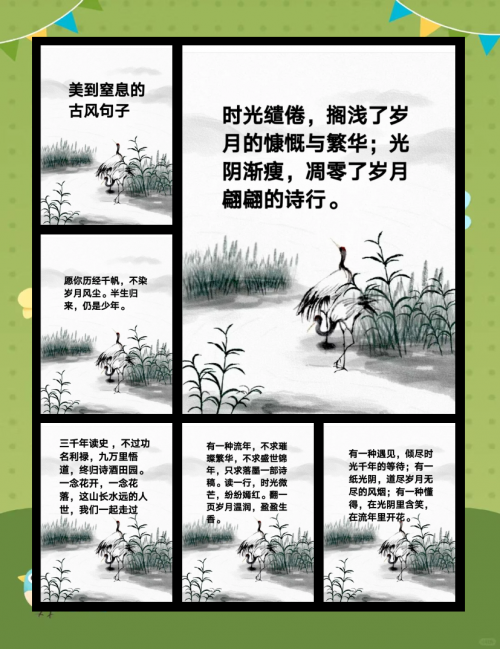 白荆回廊，时光的诗篇-第2张图片