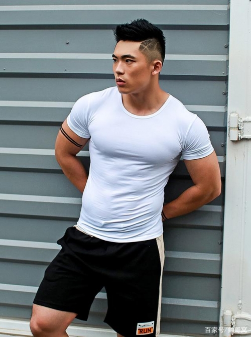 小狼狗app下载地址小狼狗心水论坛，探索犬类爱好者的乐园-第3张图片