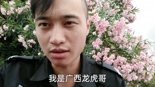 小六图库小六图库，探索丰富的视觉资源-第2张图片