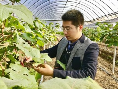 江苏村官江苏村官，青春之歌-第3张图片
