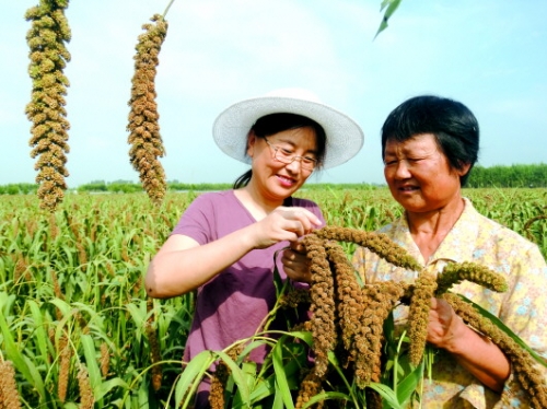 江苏村官江苏村官，青春之歌