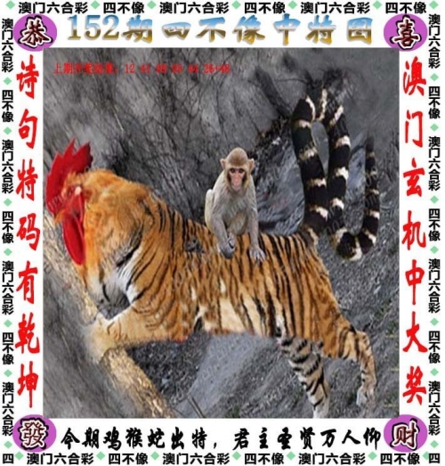今天澳门晚上出什么马今天澳门晚上有什么马？-第1张图片