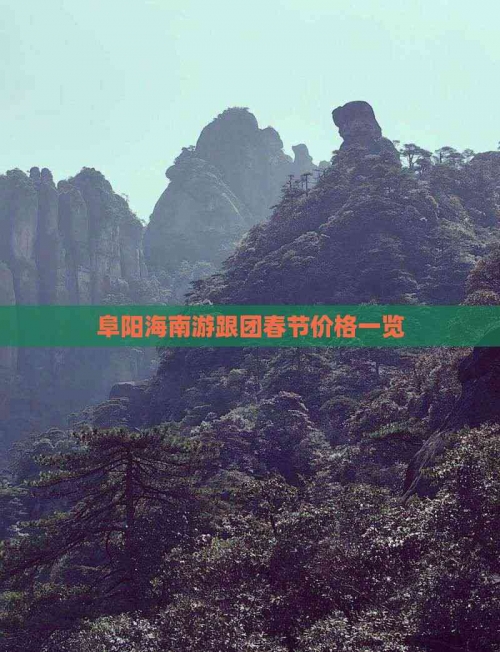 海南游报价海南游报价-第1张图片