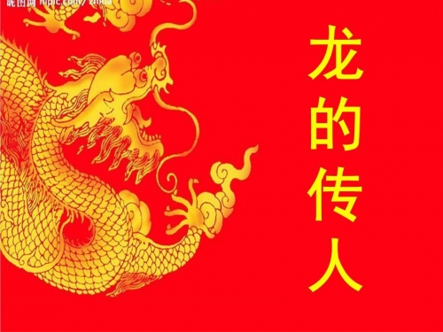 龙人网龙人网，探索数字时代的网络新篇章