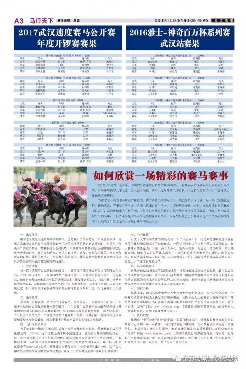 2024新奥历史开奖记录81期深度解析