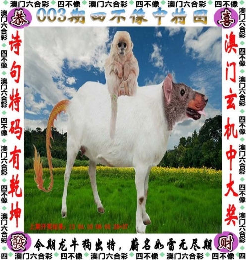 澳门一码一肖一特一中酷知经验网澳门一码一肖一特一中酷知经验网
