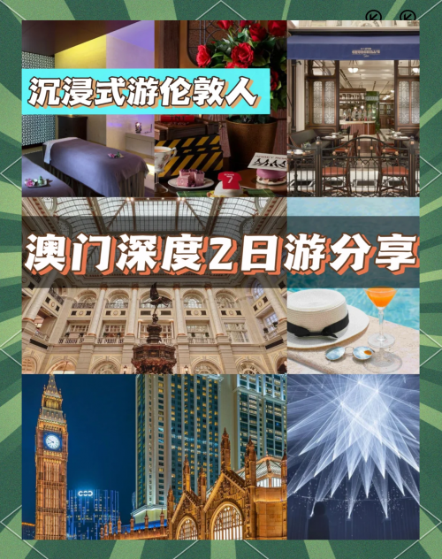 澳门特马论坛，探索澳门文化与交流的平台