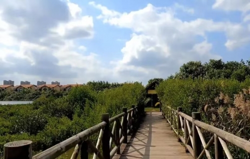 澄迈富力红树湾简介澄迈富力红树湾，自然与人文的完美融合-第3张图片
