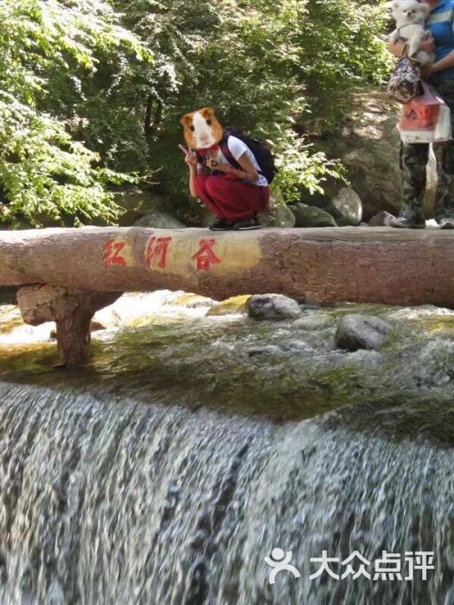 红河谷成人论坛，探索成人交流的神秘之地-第2张图片