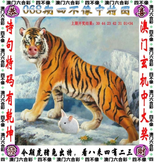 好彩网论坛平特好彩网论坛，探索网络交流的新天地-第3张图片