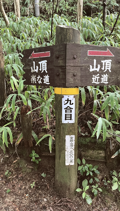 金刚山金刚山之旅-第1张图片