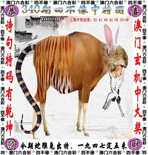 管家婆期期四肖四码中特管家，神秘预测与智慧守护-第3张图片