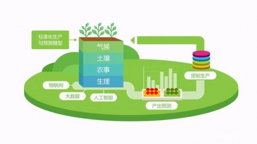 大战略2下载，引领未来战略决策的智慧宝典-第1张图片