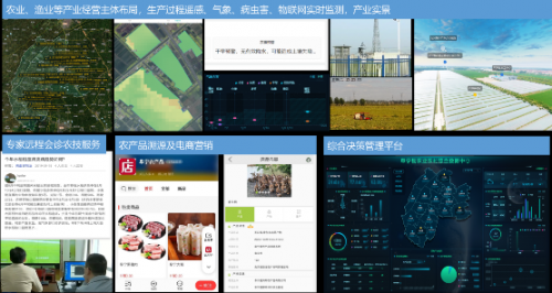 河南日报农村版电子版，数字化时代的乡村新篇章-第2张图片