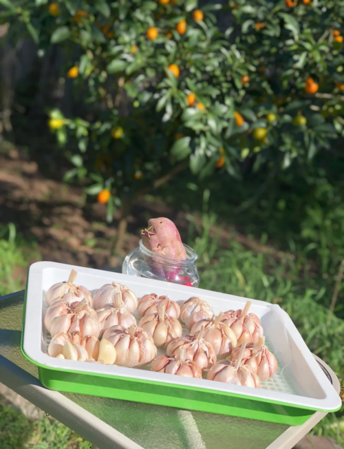 烹饪1-600烹饪之关键词，从1到600-第1张图片