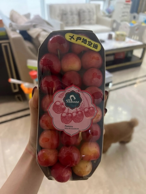天下水果奶奶免费资料天下水果奶奶免费资料