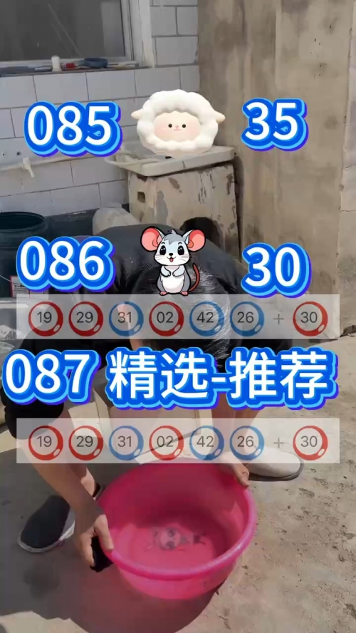新澳正版资料免费大全-第3张图片