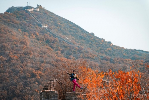 彩龙论坛的阅读理解彩龙论坛，探索网络交流的新天地-第1张图片