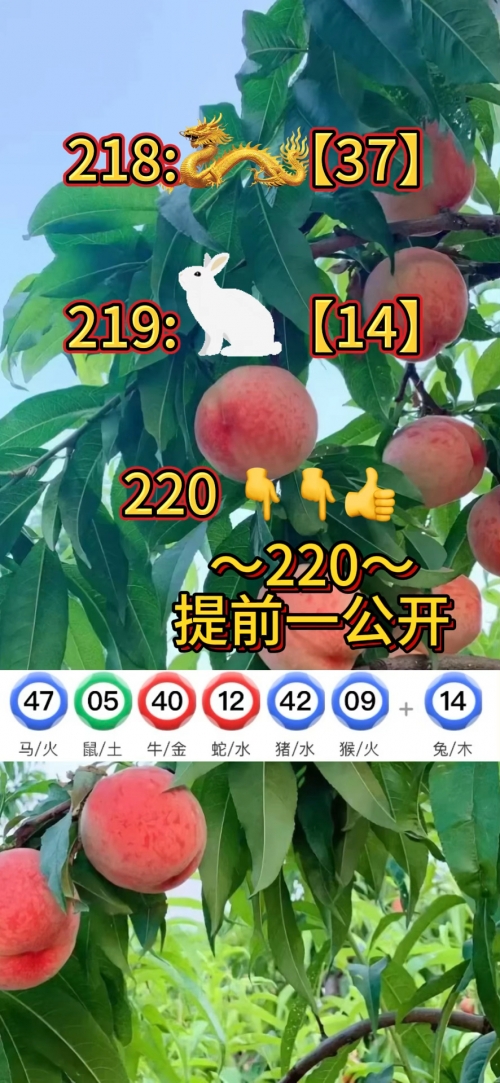 1877澳门资料大全乀1877澳门资料大全-第2张图片