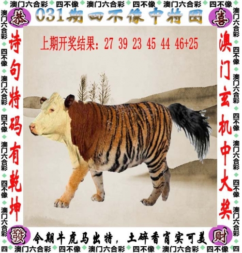 王中王论坛，揭秘最新优惠信息