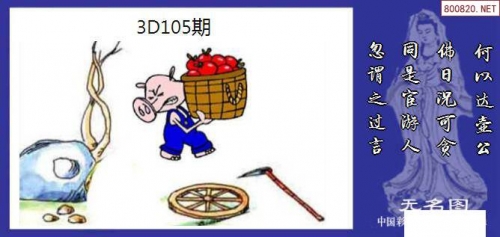 红五图彩吧红五图库红五图彩吧与红五图库，艺术与收藏的瑰宝-第1张图片