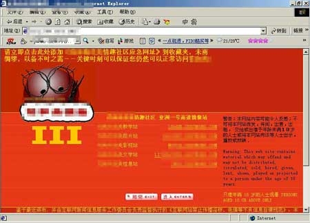 最新成人网，探索网络世界的神秘领域