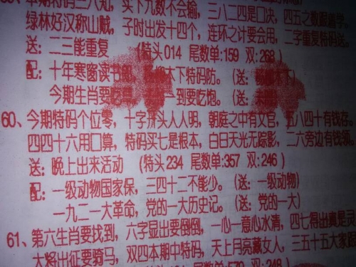 今天买什么生肖今天买什么-第2张图片
