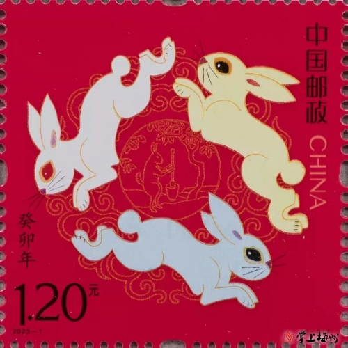 今天买什么生肖今天买什么