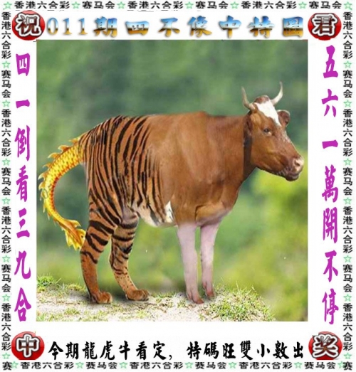 香港今晚开什么号-第2张图片