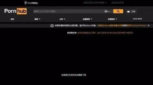 成人网站网址大全成人网站网址大全-第3张图片