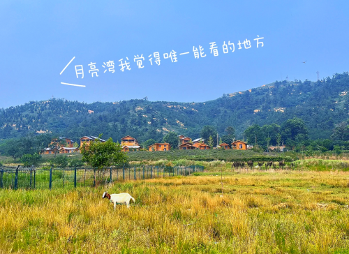 蓬莱旅游景点大全介绍 长岛蓬莱旅游景点大全介绍-第2张图片