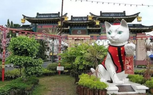 香港6合和彩今晚开奖结果查询香港6合，多元文化与繁荣发展的城市-第2张图片