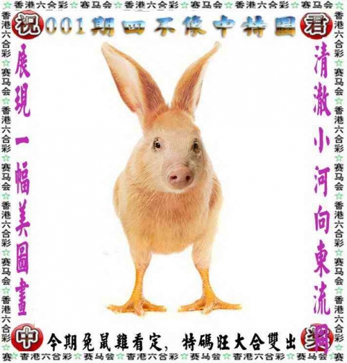 二四六天天好彩——944cc的246天精彩回顾