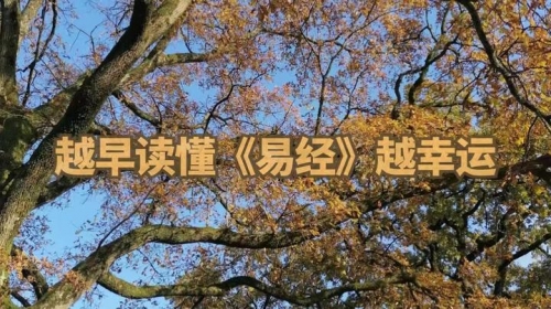 香港宝典开奖结果揭晓，幸运与智慧的交汇-第2张图片