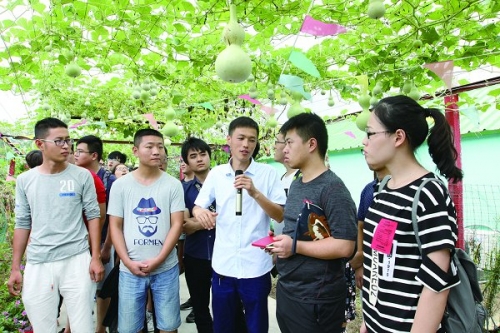 江苏村官江苏村官，青春之歌-第3张图片