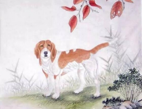六和彩图库，艺术与智慧的结晶-第2张图片
