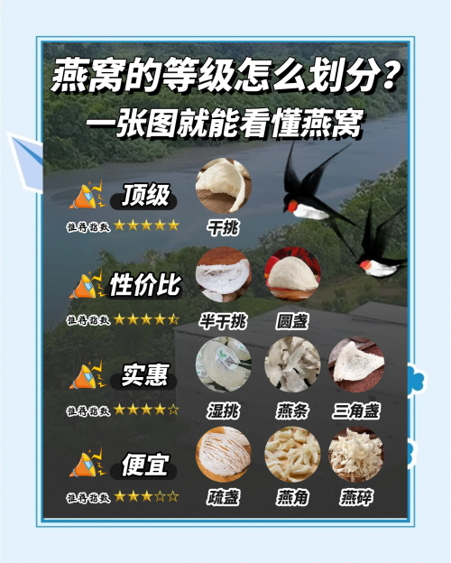 天然燕窝价格天然燕窝价格解析-第3张图片