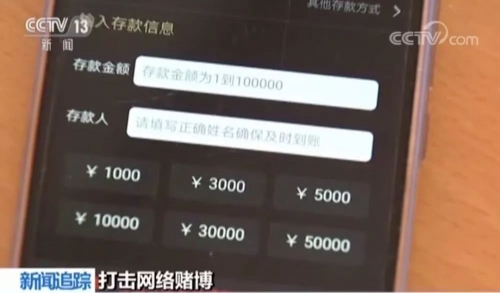 扑克王APP，掌中宝典，智慧新体验
