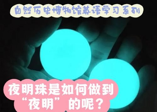 夜明珠之标准开奖时间夜明珠之标准开奖时间探讨-第2张图片