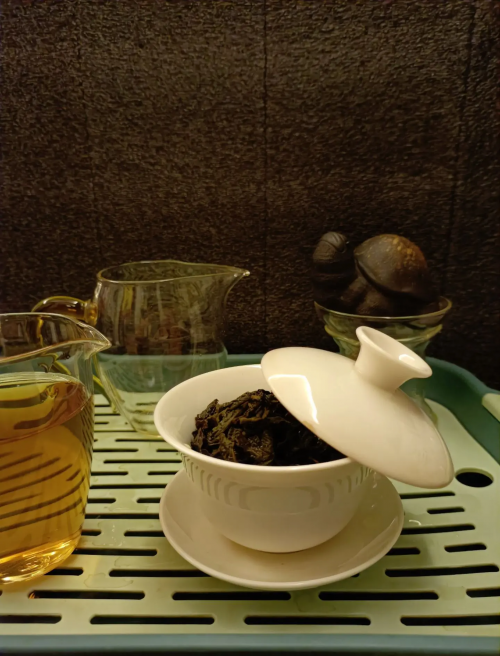 白芽奇兰白芽奇兰，兰花中的珍品