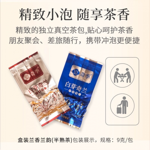 白芽奇兰白芽奇兰，兰花中的珍品-第2张图片