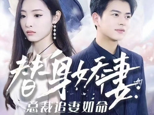 傅总的替嫁娇妻-第3张图片