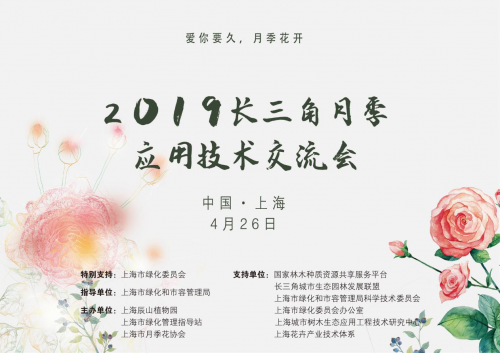 2019今日特马结果回顾-第2张图片