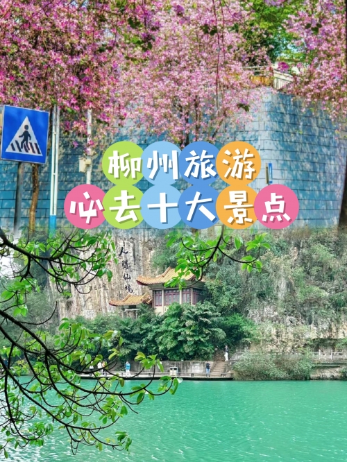 三期內必开三期內必开，推动城市发展的关键时刻