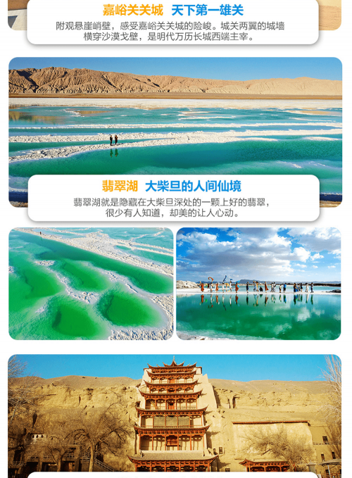 一网天下，网络时代的全景解读