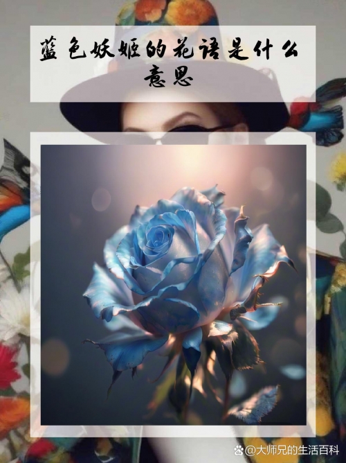 蓝色妖姬，神秘制作背后的秘密-第2张图片